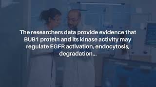 BUB1 Regulating EGFR Signaling and Internalization  AgingUS [upl. by Nirra]