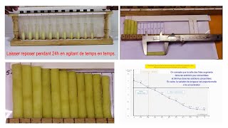 Mise en évidence des échanges deau au niveau dun tissu végétal la pomme de terre [upl. by Rozina]