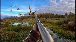 Duck Hunting Full Film Michigan Opener Public Land Marsh [upl. by Limann]