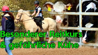 KuhAngst und Feines Reiten [upl. by Myrtice]