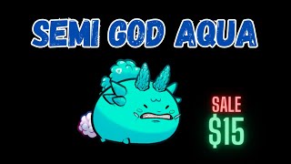 SEMI GOD AQUA CHEAP FOR SALE [upl. by Rasure]