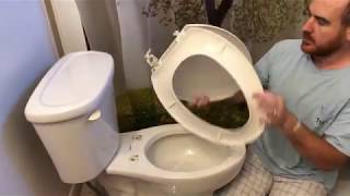 How To Fix Replace a Toilet Seat Lid [upl. by Ymas]