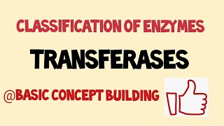 Classification of enzymes  TRANSFERASES Basic concept  well explained [upl. by Lizette245]