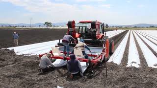 Tractor KUBOTA M135X acolchando 2 surcos para fresa  EAE Distribuidor Autorizado Zamora [upl. by Lepine]