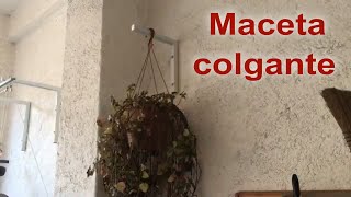 Ménsulas para plantas  instalación y tips [upl. by Bick386]