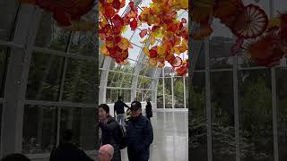 Chihuly Glass Garden A Dazzling Journey Through Art and Nature Seattle city [upl. by Notreb]