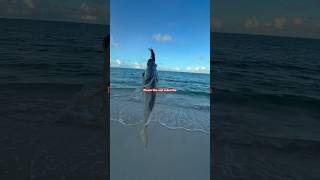 POV light casting 🎣 shorts fishing shortsvideo [upl. by Anivol]