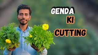 Genda ki cutting bi tayyar karli 😱 [upl. by Bough]