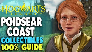 Poidsear Coast All 8 Collection Chests Locations  Hogwarts Legacy [upl. by Cohin]