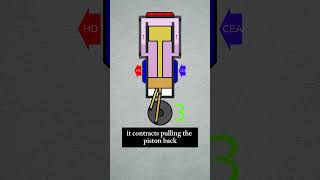 The Stirling Engine Revolutionizing Energy Efficiency [upl. by Bergwall]