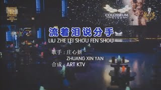 流着泪说分手 REMIX LIU ZHE LEI SHOU FEN SHOU REMIX DJ KARAOKE LYRIC PINYIN [upl. by Jase330]