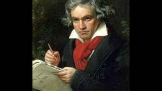 Beethoven 5th Symphony 3rd movement Allegro [upl. by Aihsiek746]