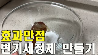 효과만점 가성비최고인 변기세정제만들기 [upl. by Lanti]