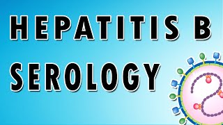 Hepatitis B Serology [upl. by Aticnemrac24]