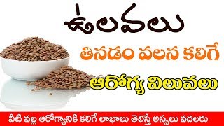 Amazing Health Benefits Of Horse Gram In Telugu  Ulavalu Benefits and Uses  Life Booster [upl. by Hsetih]