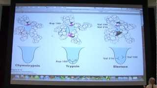 12 Biochemistry Catalytic Mechanisms I Lecture for Kevin Aherns BB 450550 [upl. by Honebein]