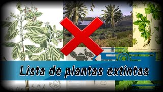 Lista de plantas extintas por el hombre  La extinción de las plantas también es para siempre [upl. by Kafka576]