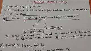 Arabinose Operon Part 1 Dr Preeti Dharmik [upl. by Teerprug]