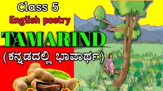 Tamarind poetry  5th standard English  Tamarind English poetry summary in Kannada  5th std  3rd [upl. by Olivann]