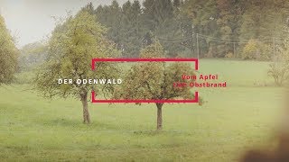 Rund um den Apfel – der Odenwald und seine Streuobstwiesen  HessenÜberrascht [upl. by Anerual]