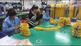 Fiber Optic Patch Cord Factory [upl. by Demetra]