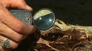 Suburban Survival Tools  How to Start a Fire with a Magnifying Class [upl. by Yesac]