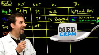 Liver Diseases Explained Clearly Acute vs Chronic Hepatic Diseases [upl. by Collar]