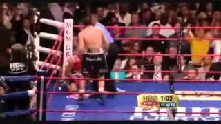 Pacquiao vs Margarito Fight Highlights [upl. by Aitret]