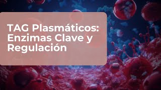 Enzimas del Metabolismo de los TAG Plasmáticos LPL LH y LHS Explicadas [upl. by Casanova242]