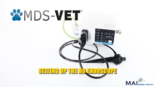 Endoscope Set Up [upl. by Aicilef]