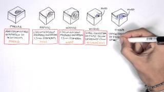 Dermatology  Lesion Terminology [upl. by Aushoj]