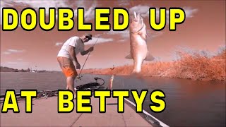 Bass Fishing Bettys Kitchen Yuma AZ [upl. by Dow461]