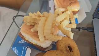 Panko Breaded Fish Slider French Fries And Chicken Rings [upl. by Atinra]