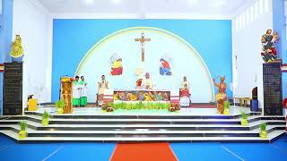 RANCHI ARCHDIOCESE HOLY MASS WITH ADIVASI SONG AND DANCE [upl. by Heer]