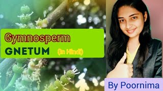 GnetumLife CycleGymnospermBy Poornima [upl. by Aldous]