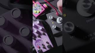 ⚡️🌖Moonbow Brainz🧠⚡️ landdevices4013 ambienttrash5234 effectspedals controlvoltage cv [upl. by Irmine678]