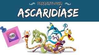 ASCARIDÍASE  PARASITOLOGIA 6 [upl. by Asyar]