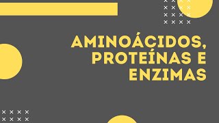 AMINOÁCIDOS PROTEÍNAS E ENZIMAS [upl. by Ynaffyt]