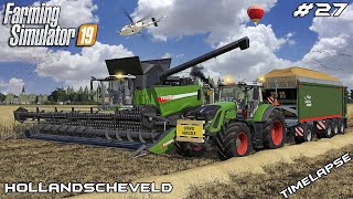 Harvesting WHEAT with FENDT 9490 X  Animals on Hollandscheveld  Farming Simulator 19  Episode 27 [upl. by Smail]