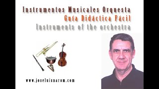 Instrumentos Musicales Orquesta  Guía Didáctica Fácil  Instruments of the orchestra [upl. by Rame]