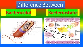 Difference between Bactericidal and Bacteriostatic [upl. by Shutz]