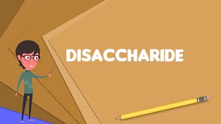 What is Disaccharide Explain Disaccharide Define Disaccharide Meaning of Disaccharide [upl. by Nikolaos863]