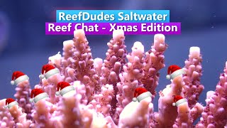 ReefDudes Saltwater Reef Chat  Xmas Edition [upl. by Acisseg]