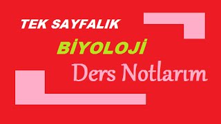 BİYOLOJİ Ders Notlarım [upl. by Packer952]