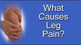 What Causes Leg Pain [upl. by Ebba]