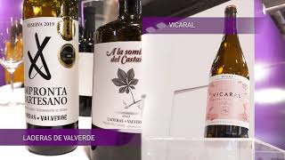 LADERAS DE VALVERDE Y VICARAL  ALIMENTOS DE VALLADOLID EN SALÓN GOURMETS 2024 [upl. by Janerich]