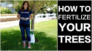 How to Fertilize Trees [upl. by Yennek539]