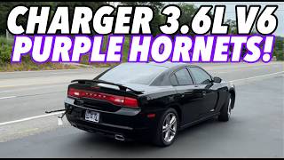 2013 Dodge Charger AWD 36L V6 w PURPLE HORNET GLASS PACKS [upl. by Godiva921]