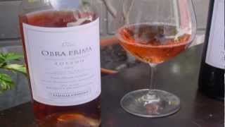 EL DISFRUTE VINOS amp BODEGAS  OBRA PRIMA Rosado  Cabernet Sauvignon de Bodega Familia Cassone [upl. by Adiarf636]