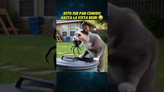 SASY LA CHIHUAHUA CORRE PELIGRO🥲 chihuahua perros mascotas animales perroabandonado [upl. by Otsirc]